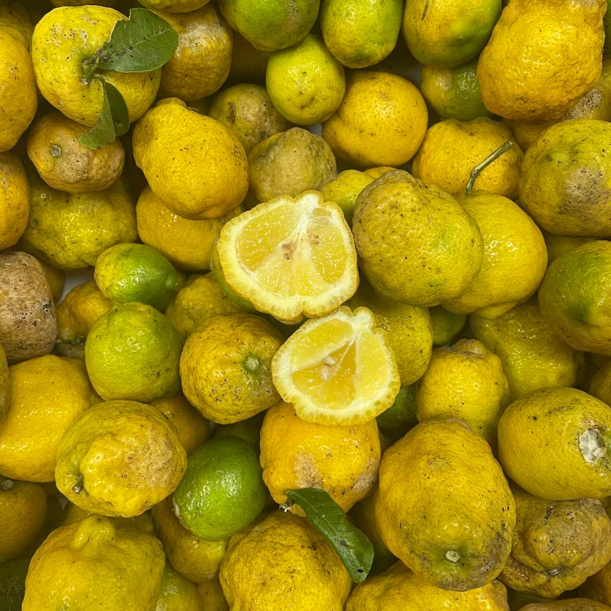 Bauko Lime