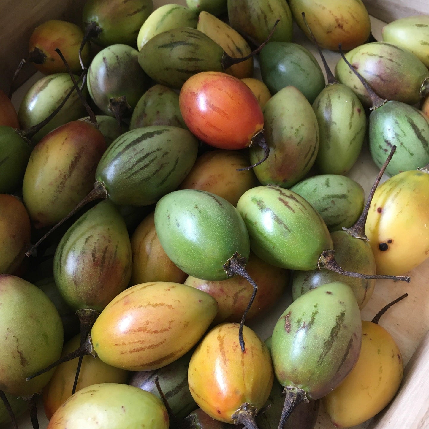 Tamarillo - Good Food Community