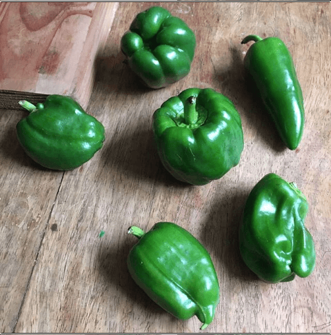 Bell Pepper - Good Food Community