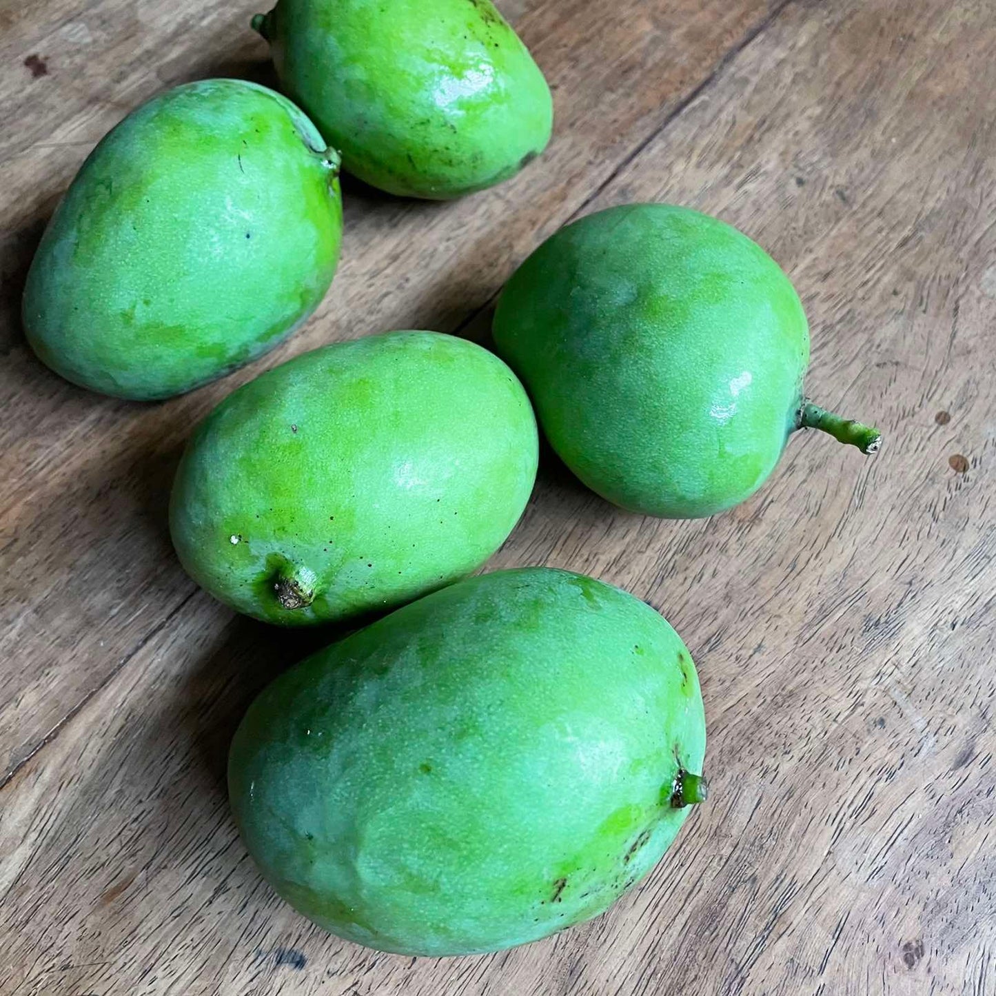 Indian Mangoes - Good Food Community