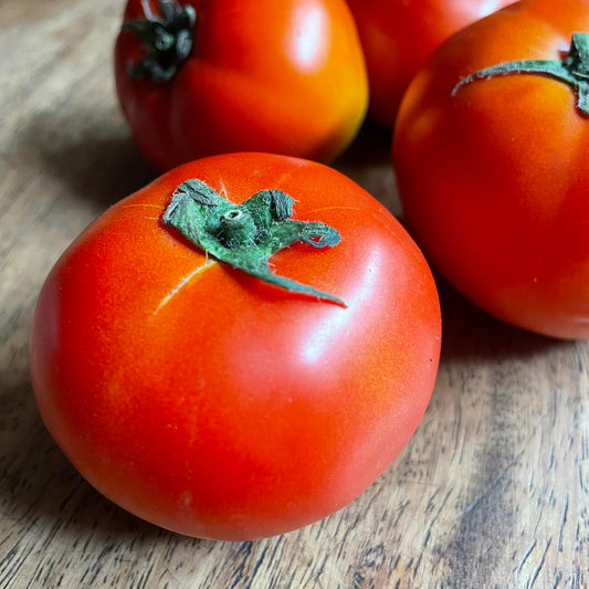 Tomato, Upland