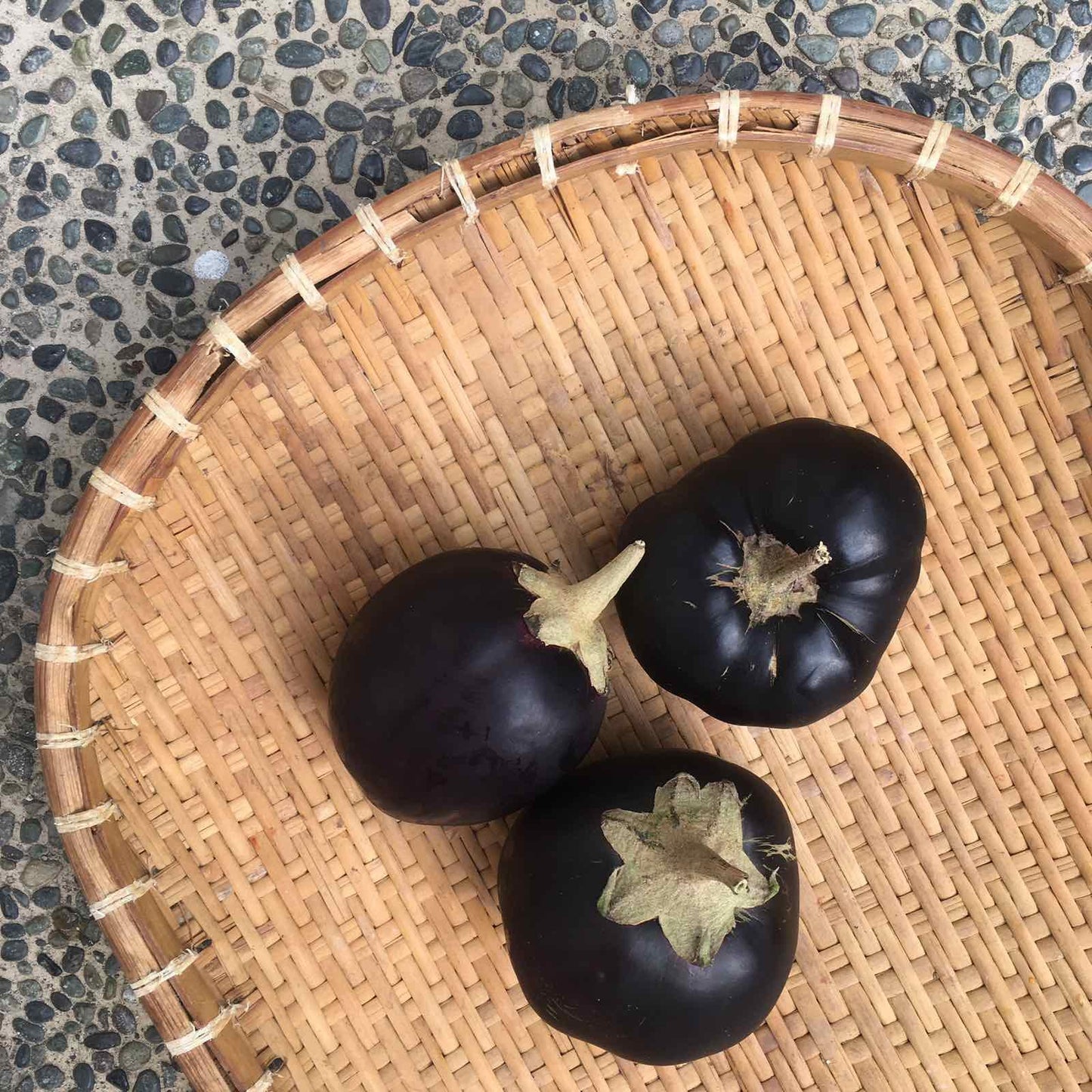 Upland Eggplant - Good Food Community