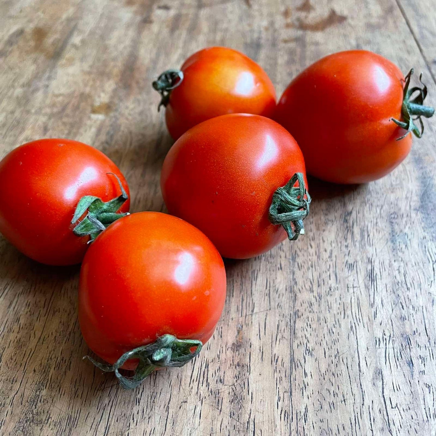 Upland Tomato - Good Food Community