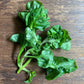 Brazilian Spinach