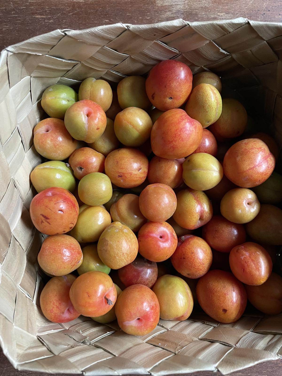 Bauko Plums