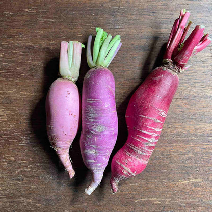 Radish
