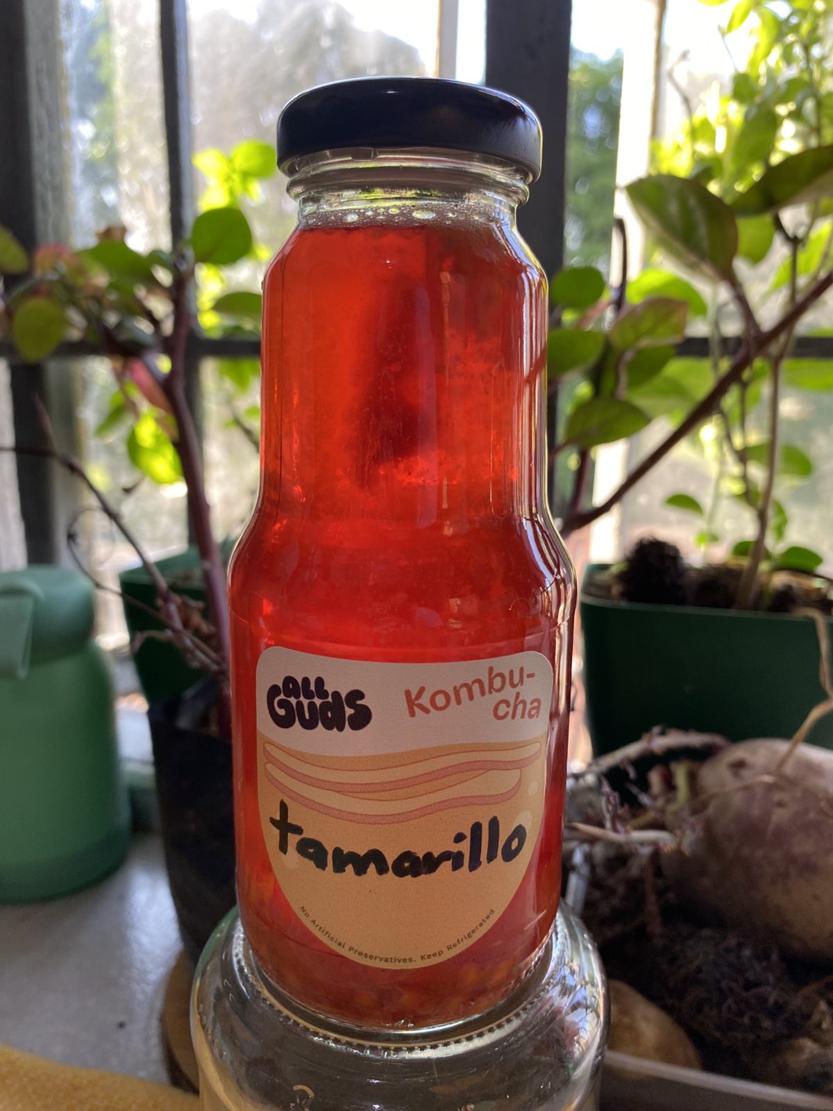 Kombucha