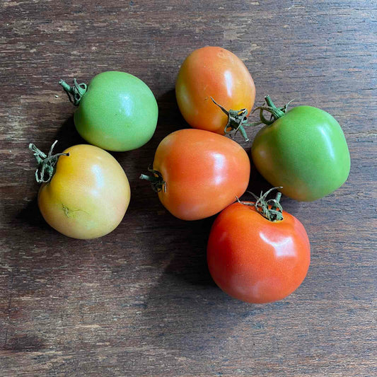 Upland Tomato