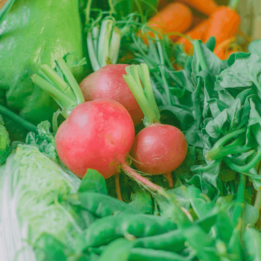 Cherry Radish - Good Food Community