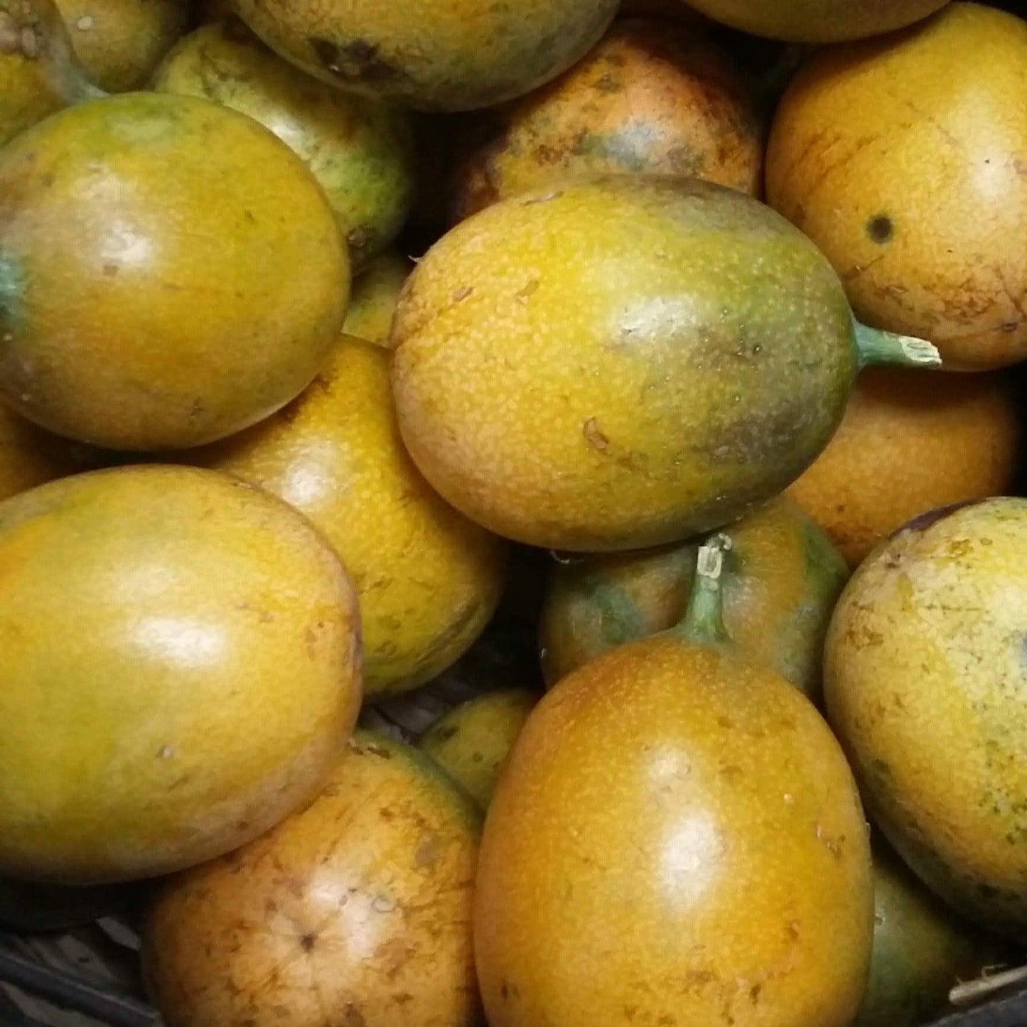 Passionfruit - Good Food Community