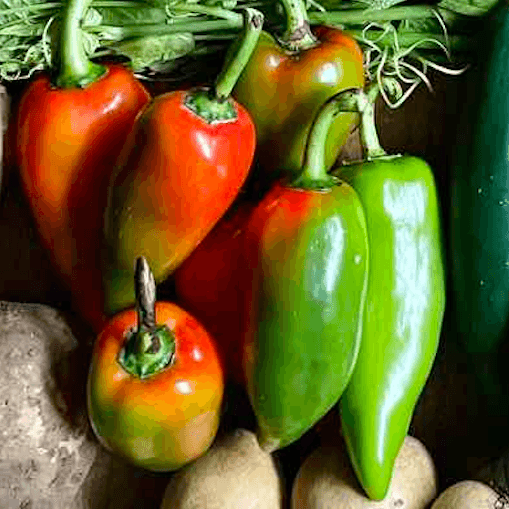 Bell Pepper - Good Food Community
