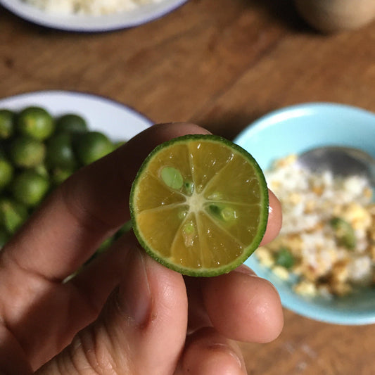 Calamansi - Good Food Community