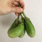 Eggplant - Good Food Community