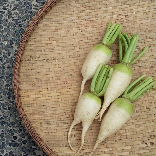 Korean radish - Good Food Community