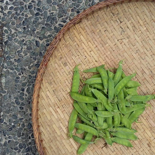 Garden Pea - Good Food Community