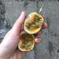 Passionfruit Masaflora - Good Food Community
