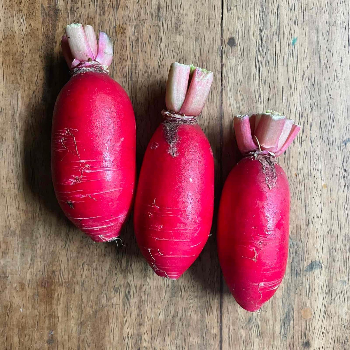 Radish - Good Food Community