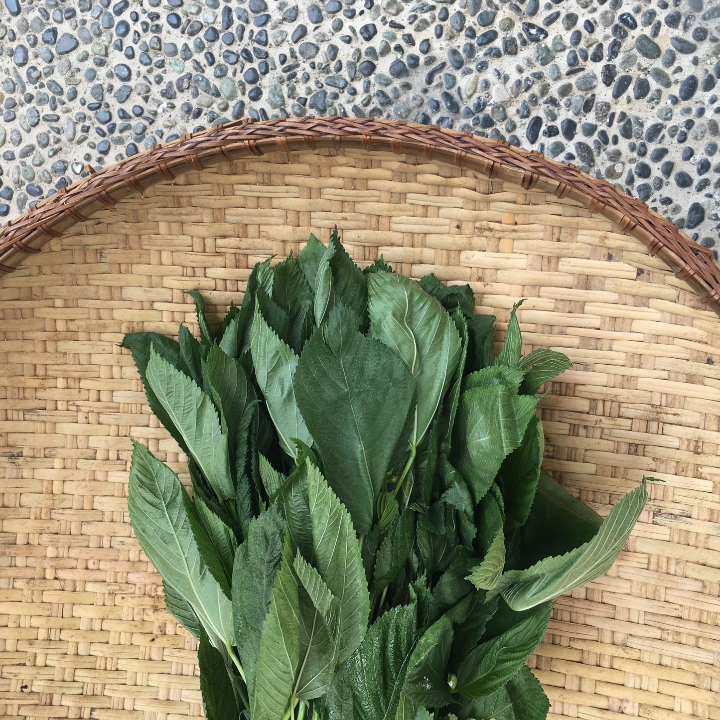 Saluyot - Good Food Community