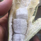 Ice Cream Beans - Good Food Community